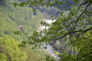 New River Gorge1